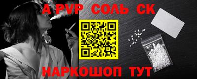 гашик Моздок