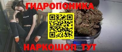 трава Можга