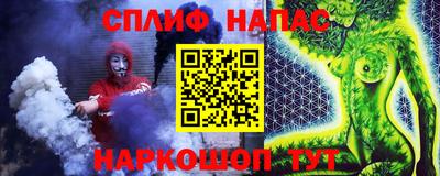гашик Моздок
