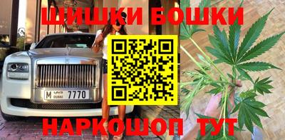 гашик Моздок