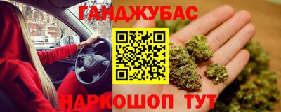 гашик Моздок