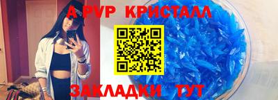 гашик Моздок