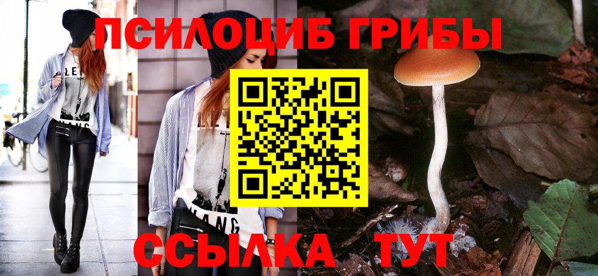Псилоцибиновые грибы Psilocybe  Вход с VPN  Псилоцибиновые грибы ЛСД  Верхняя Салда 